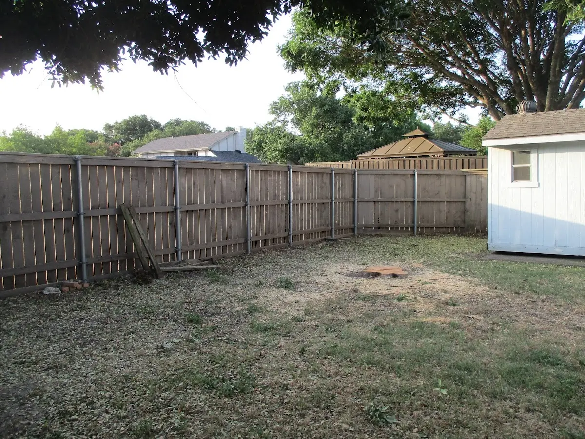 Cleared yard after professional tree removal in Smyrna