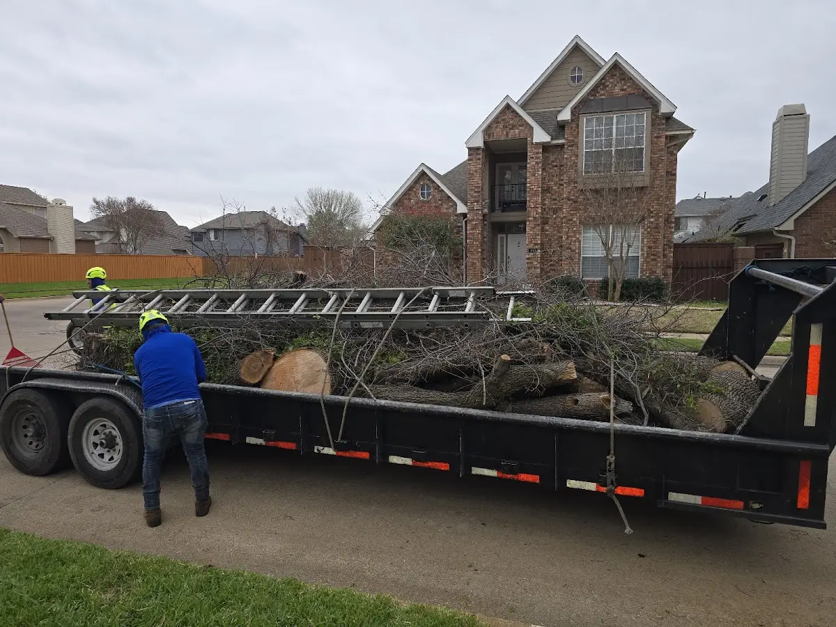 Expert Deadwooding with proper safety equipment in Smyrna
